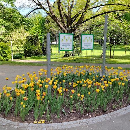 Wohnung In Leoben Zentrum Zwischen Hauptplatz Und Stadtpark Екстер'єр фото