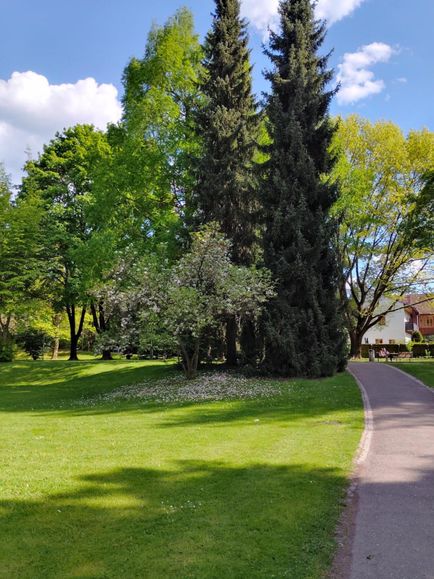 Wohnung In Leoben Zentrum Zwischen Hauptplatz Und Stadtpark Екстер'єр фото